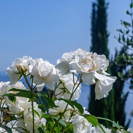 Lejlighed Medveja 7720a Lovran